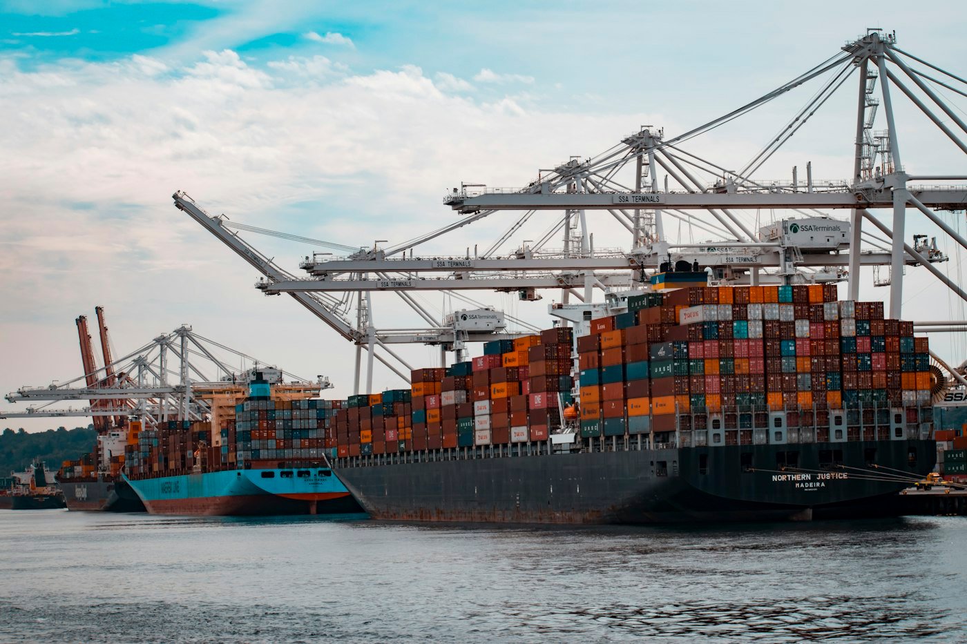 Container ships berthed under port cranes